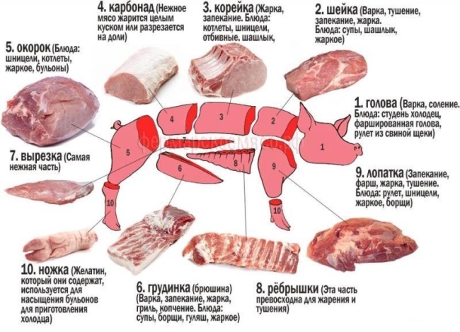 Польза свинины для организма человека